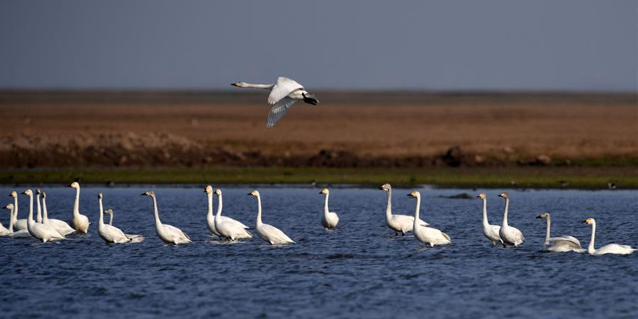 北冰、蔡文健：關(guān)于推動(dòng)環(huán)洞庭湖區(qū)旅游業(yè)高質(zhì)量發(fā)展的思考