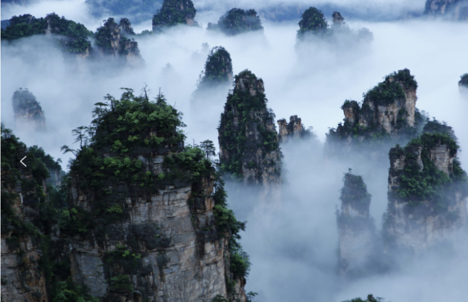 康養(yǎng)游大勢已至，張家界武陵源區(qū)點“藥”成金